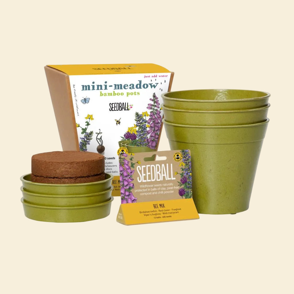 Seedball Mini Meadow Bamboo Pots - Bee Mix