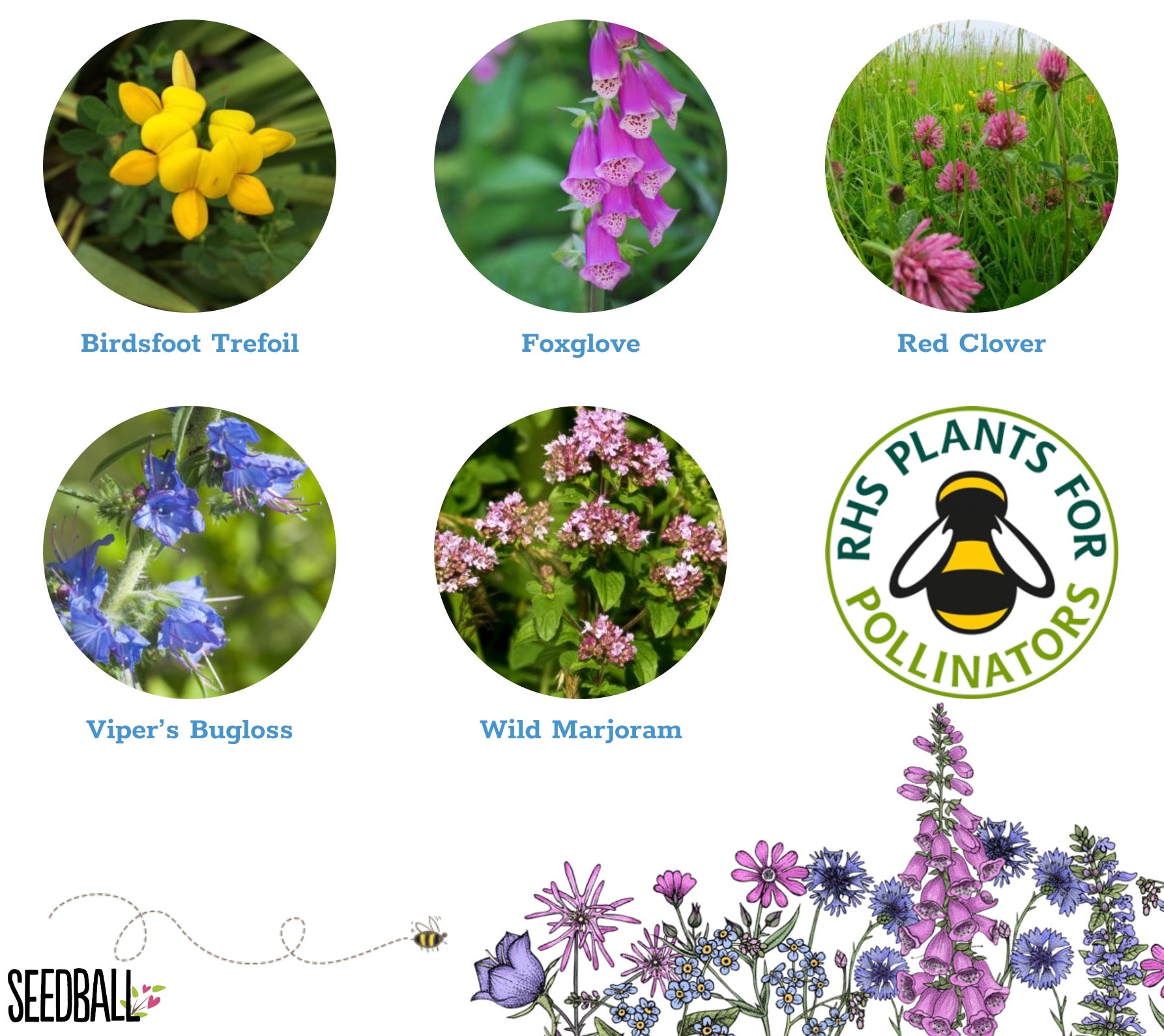 Limited Edition Christmas Seedball Wildflower Tin