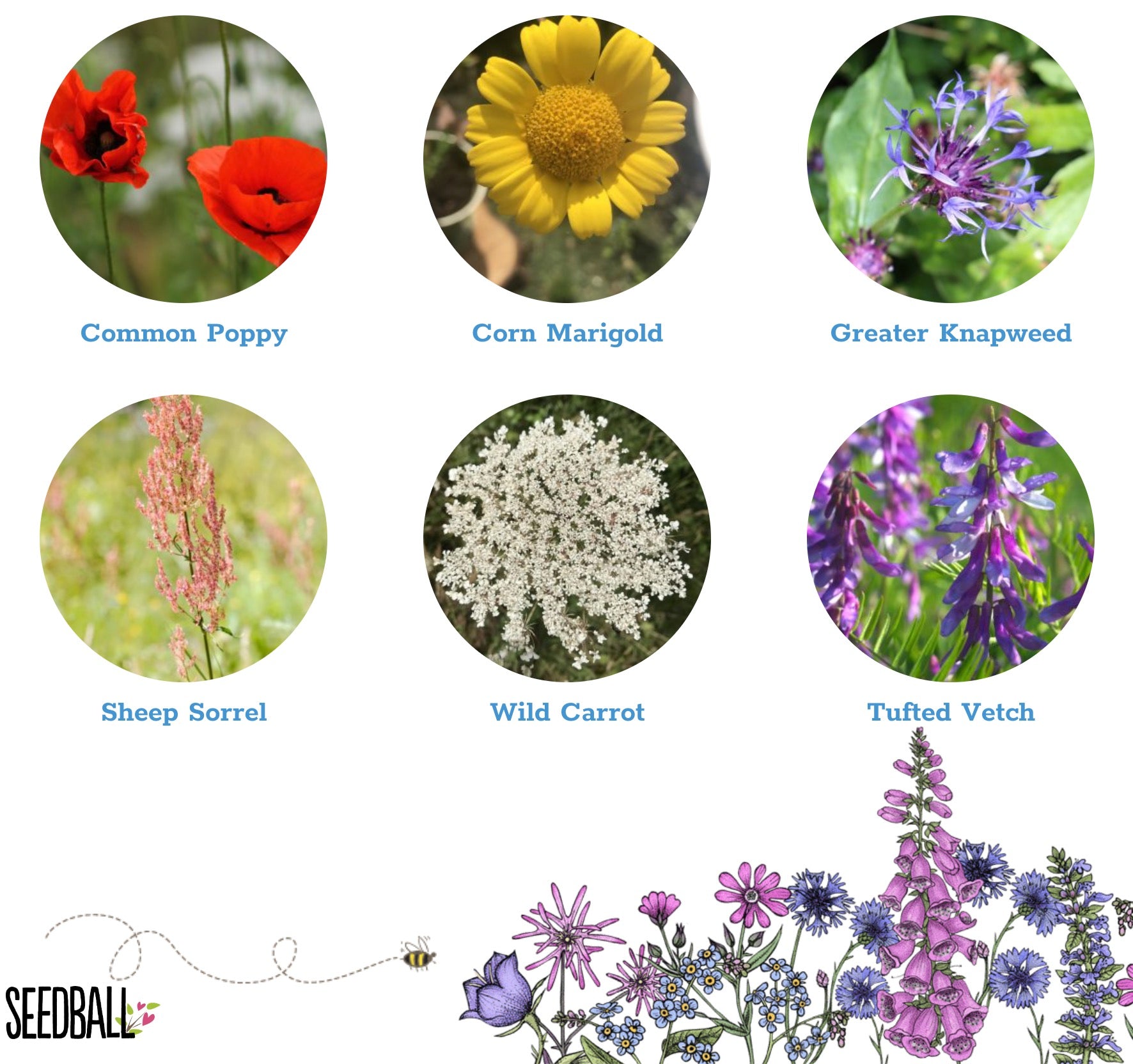 Seedball Wildflower Bird Mix Tin
