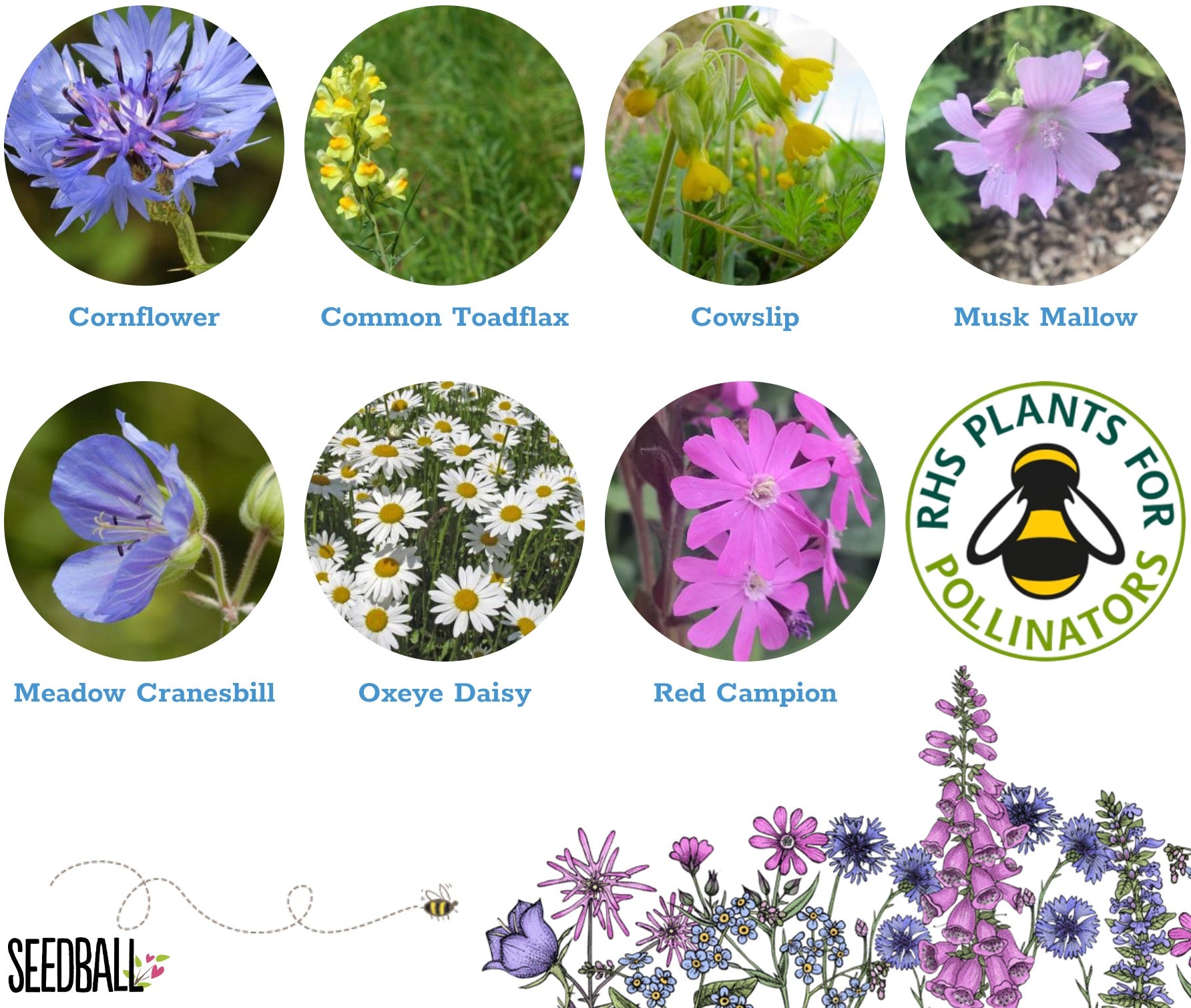 Seedball Wildflower Urban Meadow Mix Tin