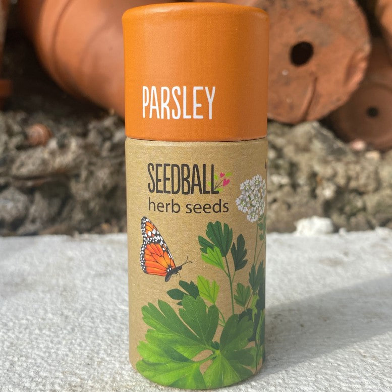 Seedball Herb Tube Collection - Parsley