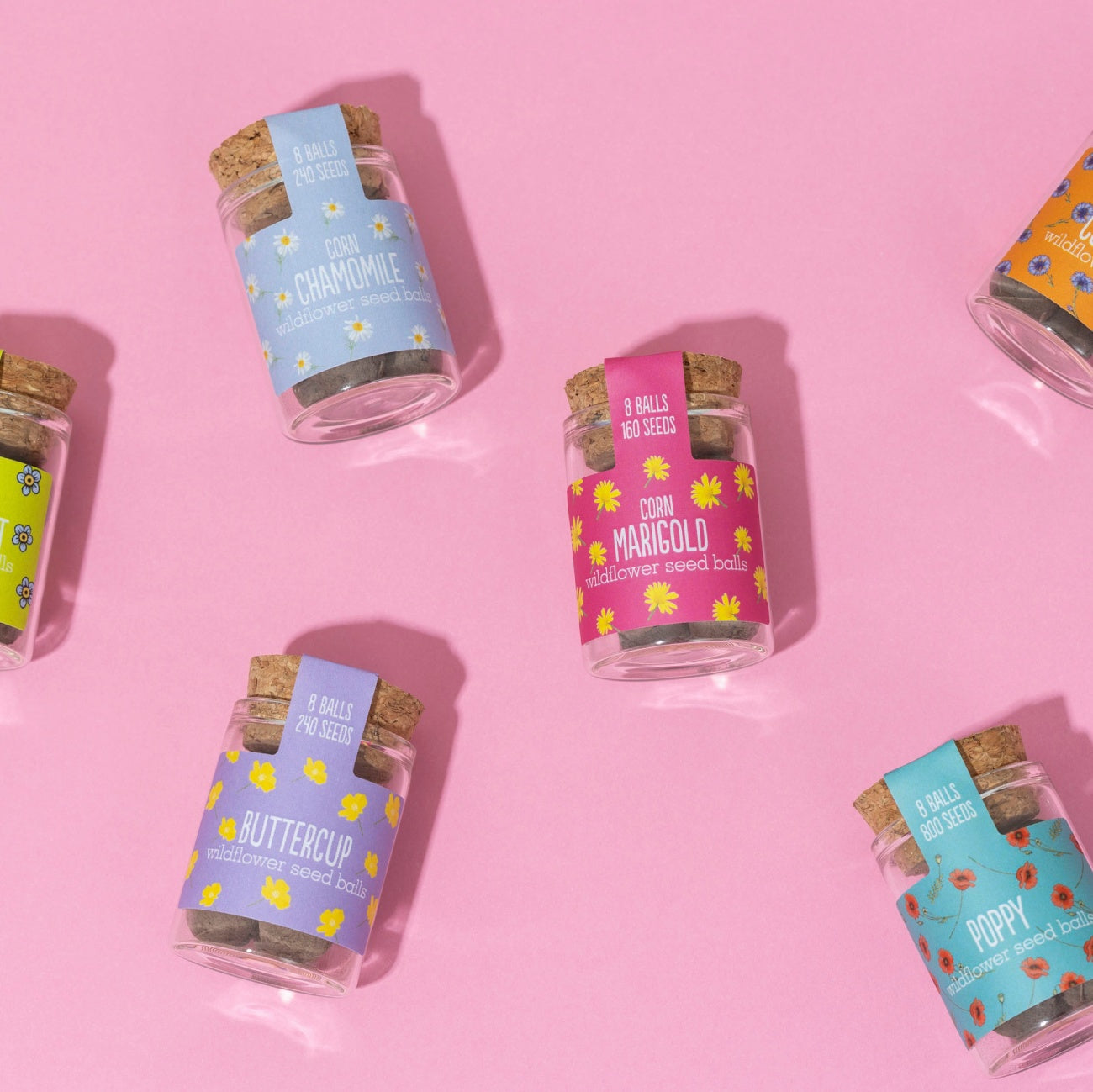 Seedball Wildflower Jar - Forget me Not