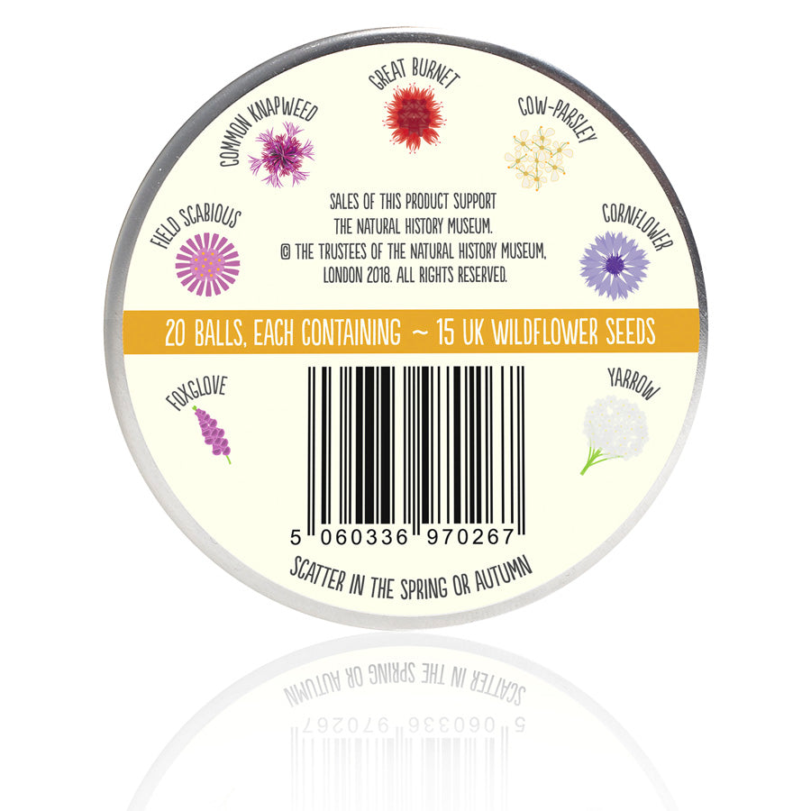 Seedball Wildflower Beetle Mix Tin