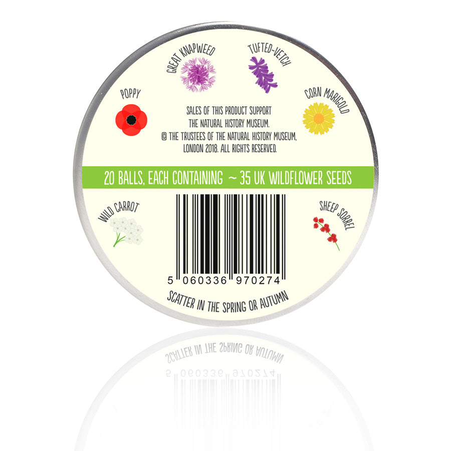 Seedball Wildflower Bird Mix Tin