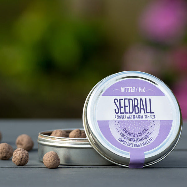 Seedball Wildflower Butterfly Mix Tin