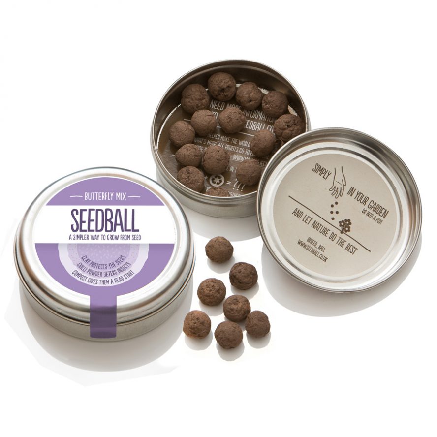 Seedball Wildflower Butterfly Mix Tin