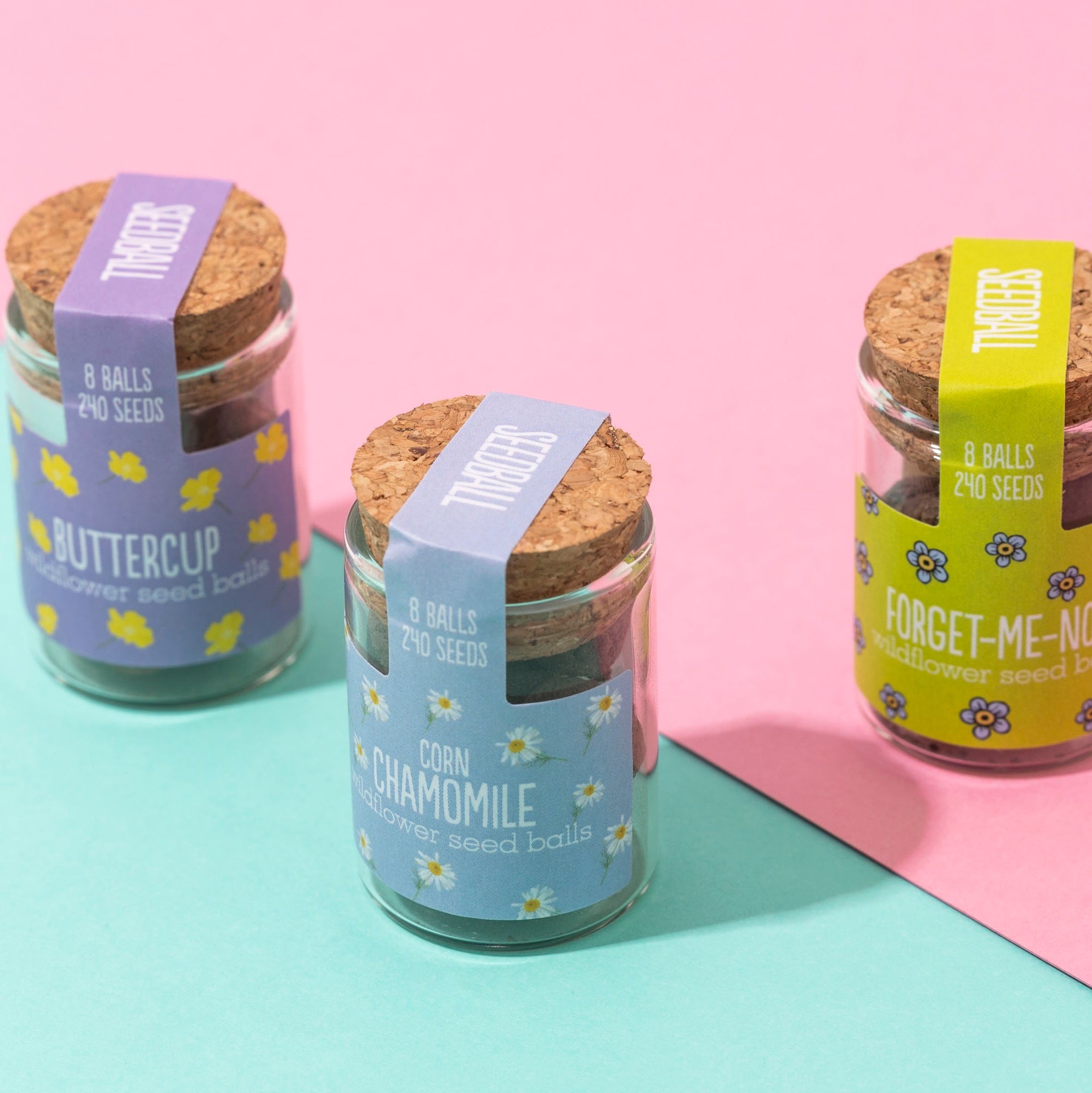 Seedball Wildflower Jar - Forget me Not