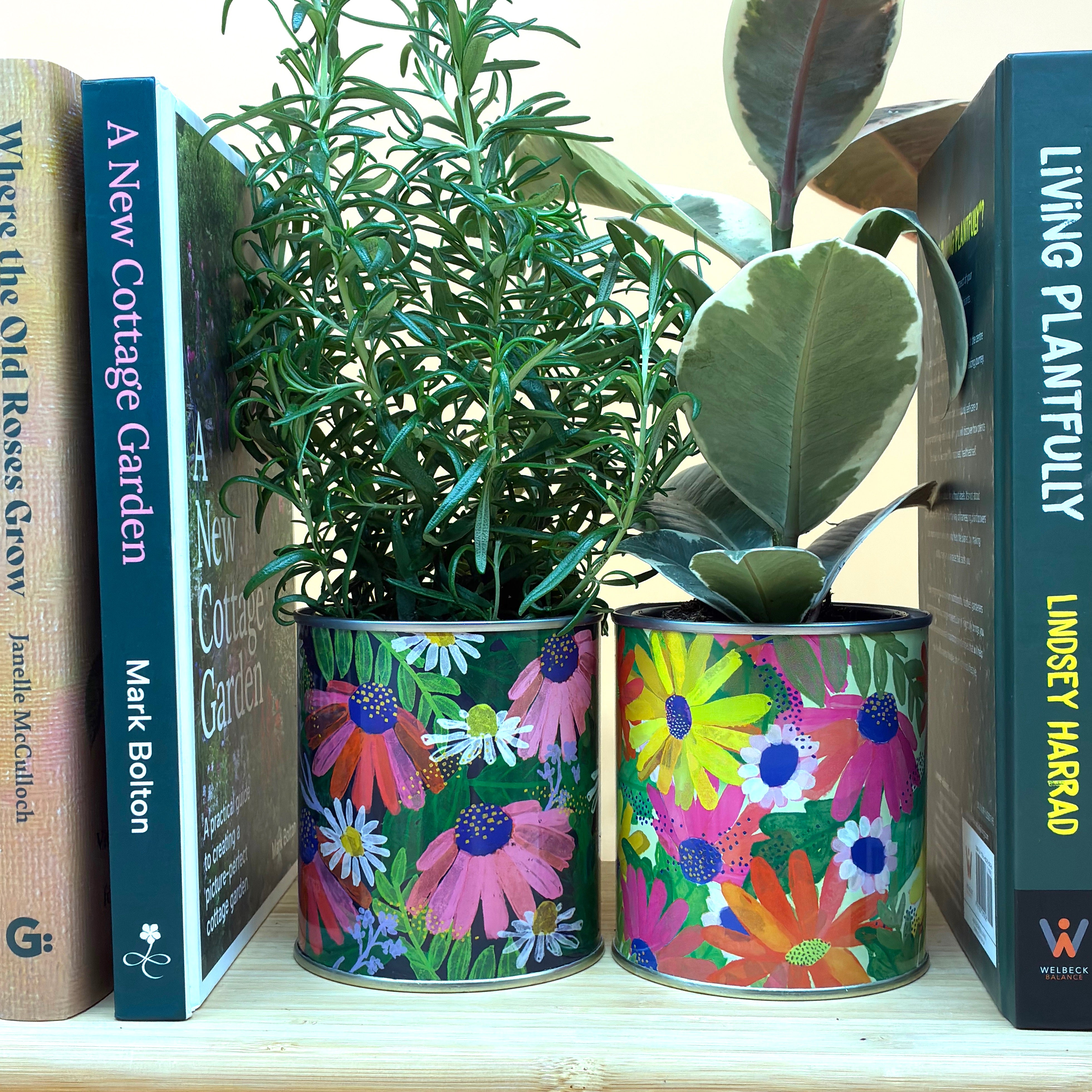 Seedball Wildflower Grow Kit - Forget-Me-Not