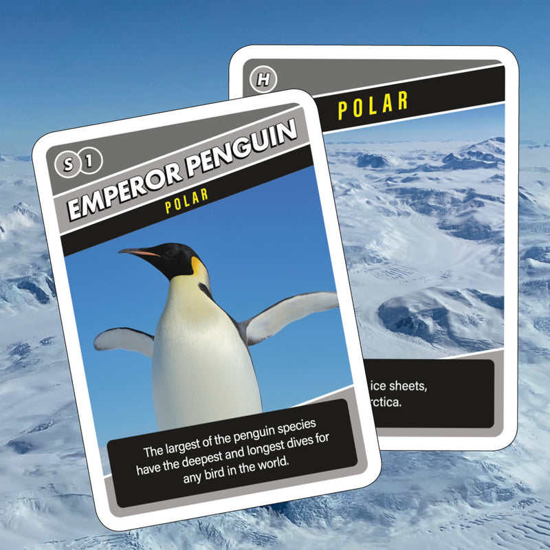 SOS Save Our Species Card Game