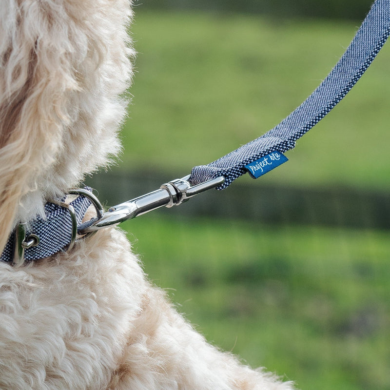 Recycled Dog Collars & Leash