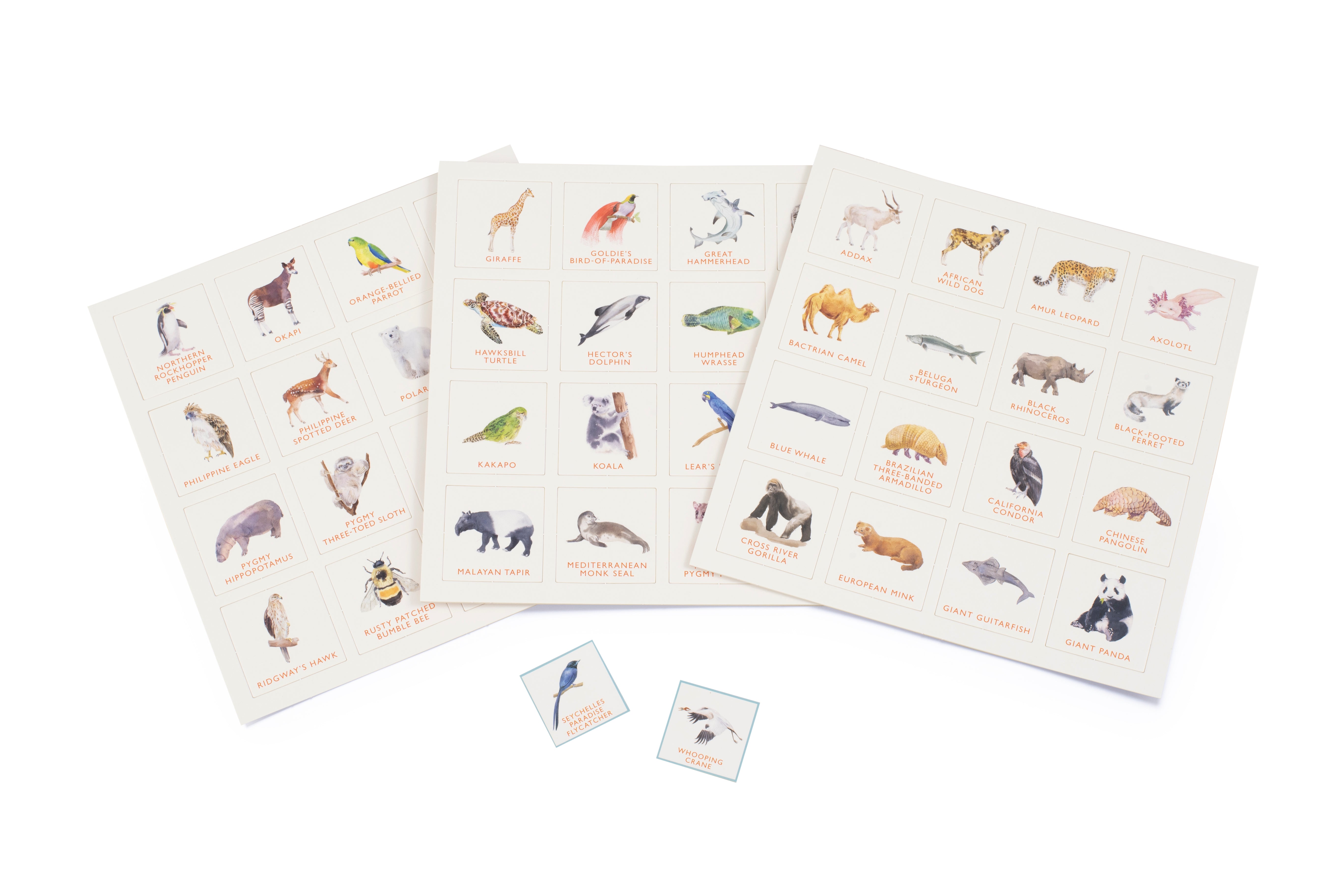 Endangered Animals Bingo