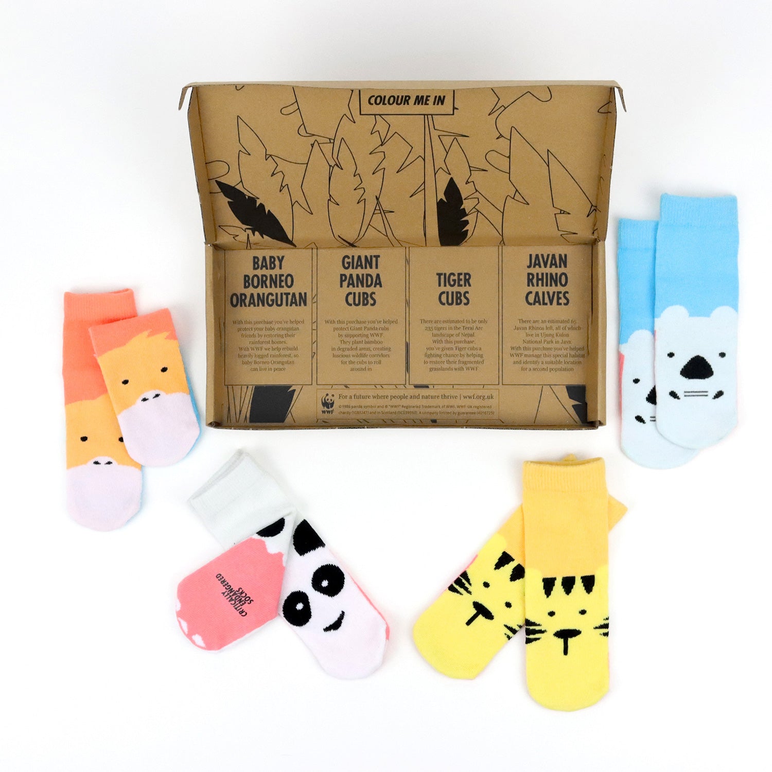 Critically Endangered Baby Socks - Habitats 4 pack