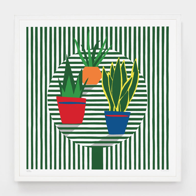 Evermade - Paul Thurlby - 'Plants On A Table'