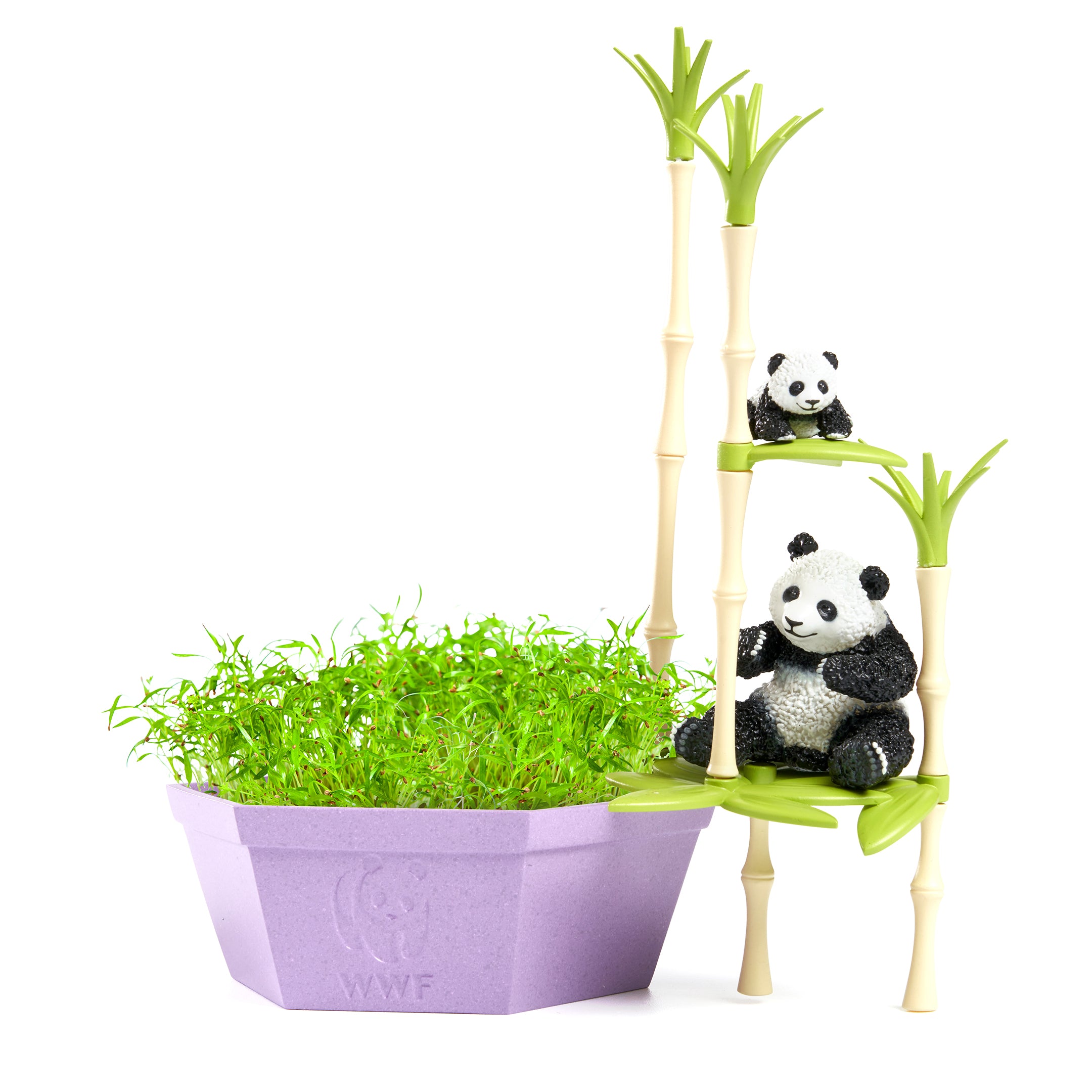 Wild Scenes Grow and Play - Pandas' Bamboo Forest