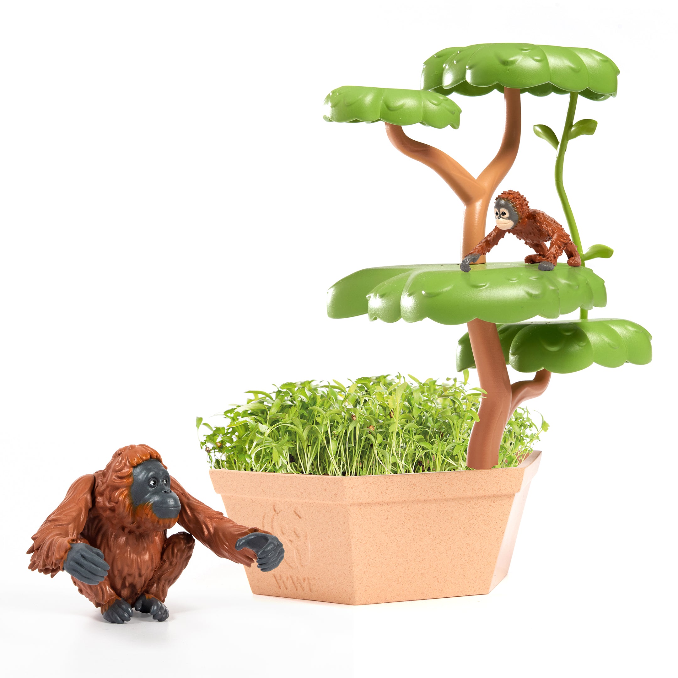 Wild Scenes Grow and Play - Orangutans’ Treetop Adventure