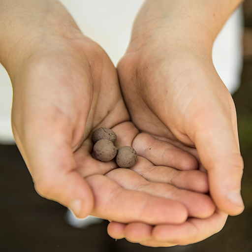 Seedball