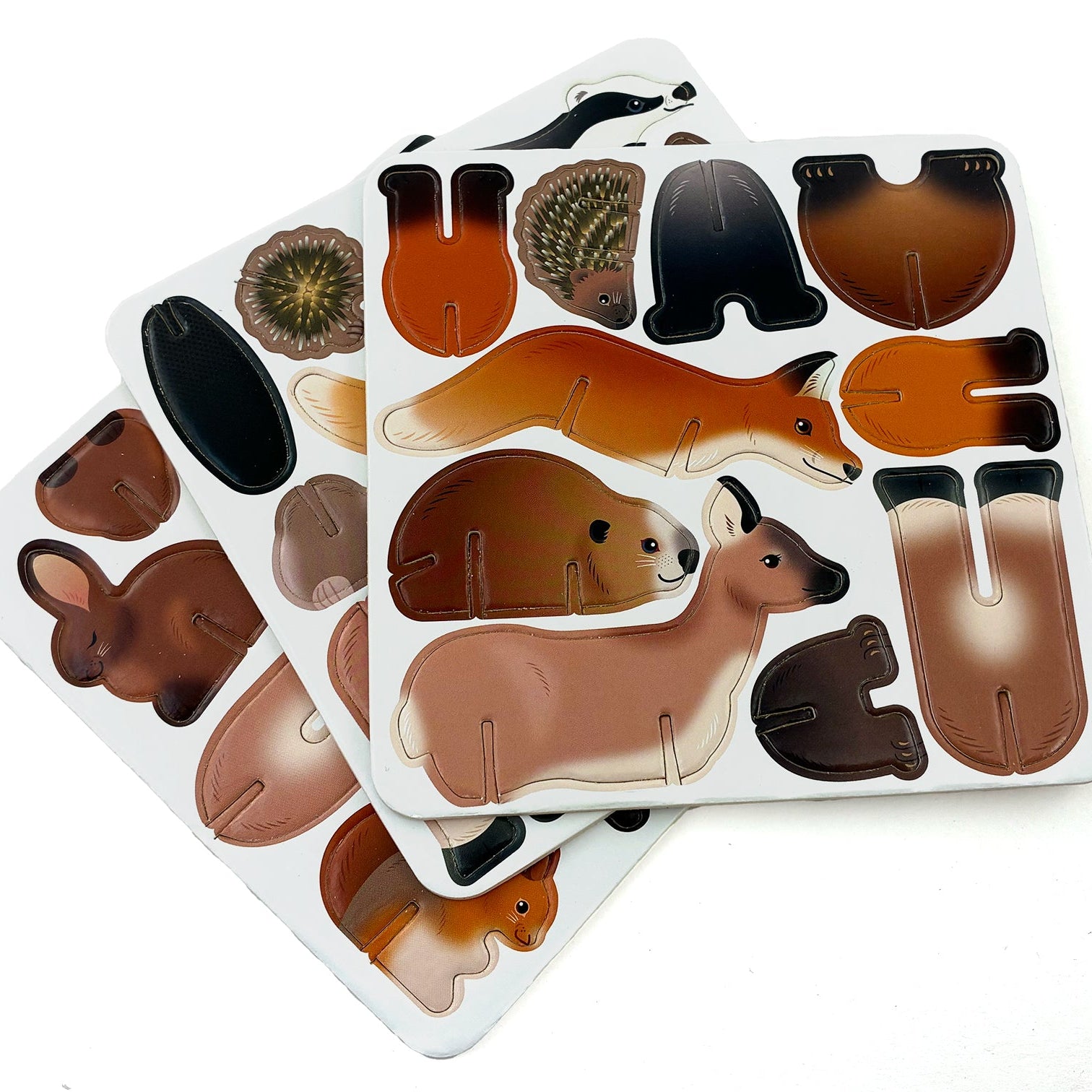 Close up of cardboard flat pack components to woodlands animals ready to be popped out and built on white surface