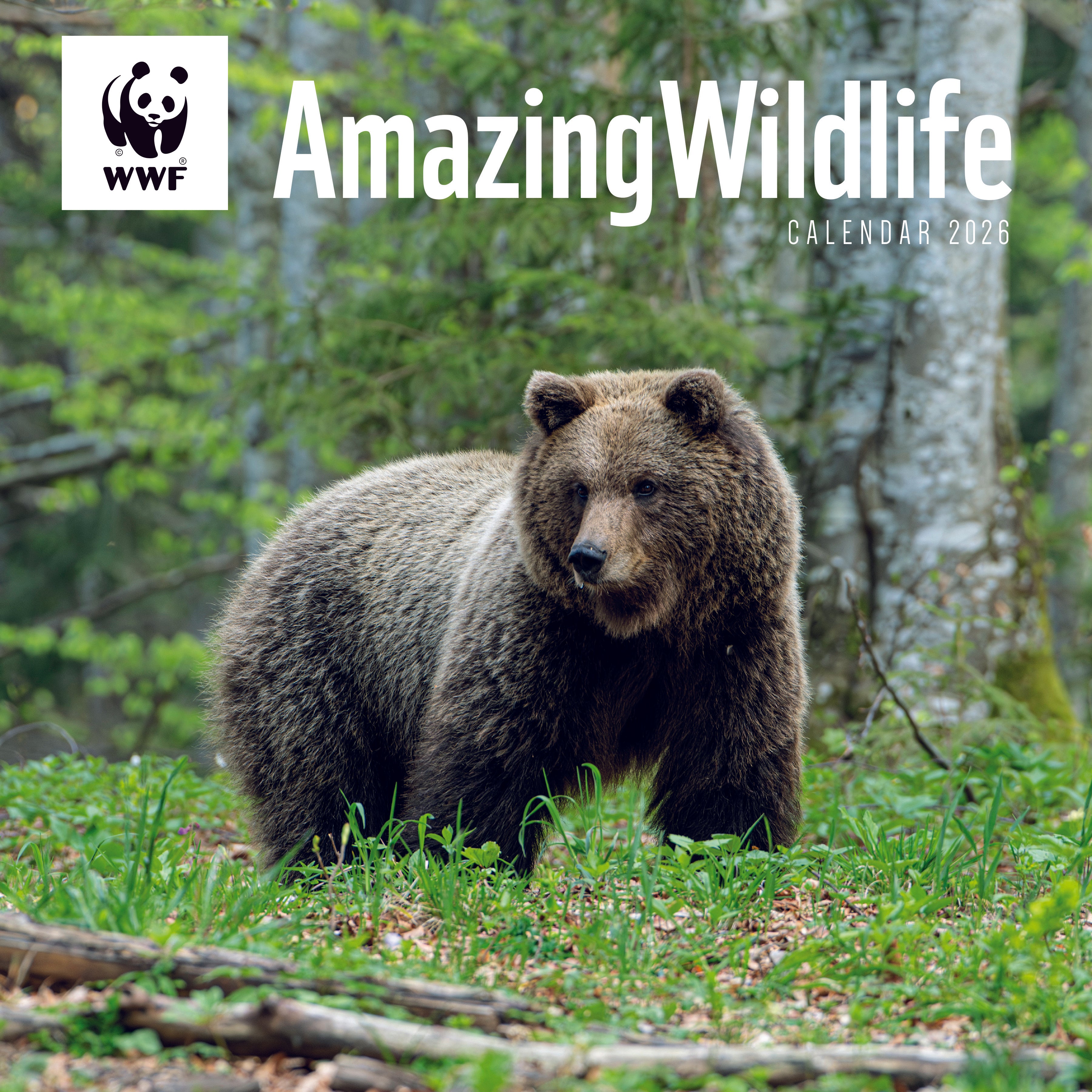 Amazing Wildlife Wall Calendar 2026