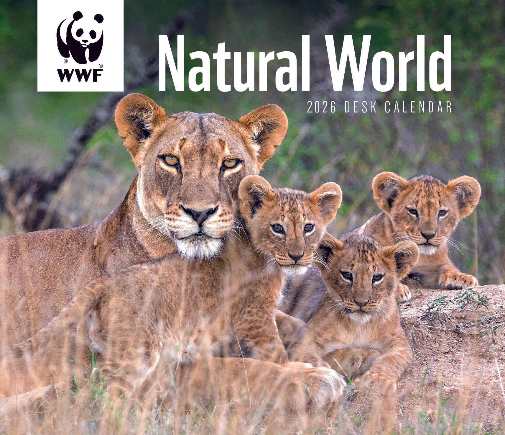 Natural World Desk Calendar Diary 2026