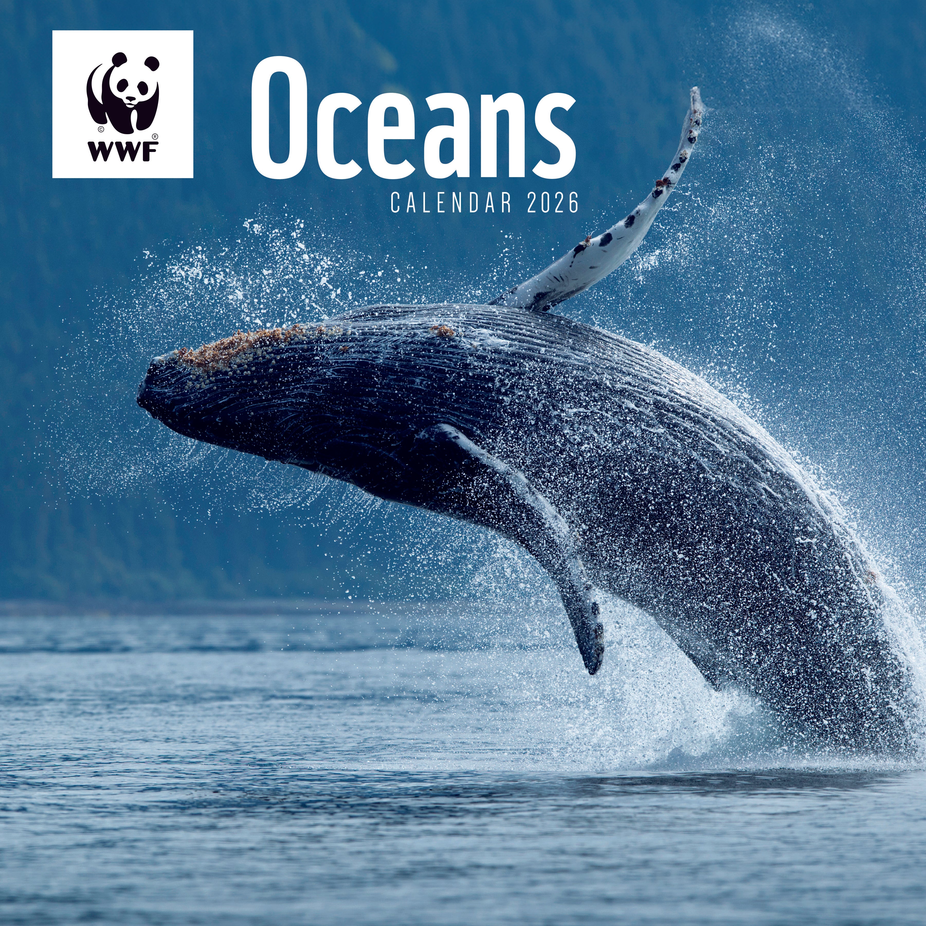 Oceans Wall Calendar 2026