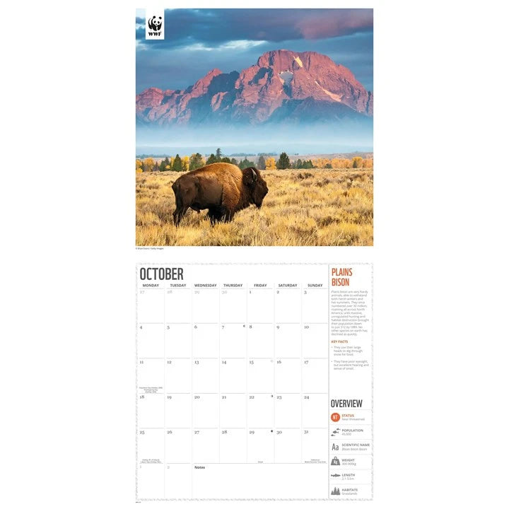 WWF Amazing Wildlife Calendar 2027