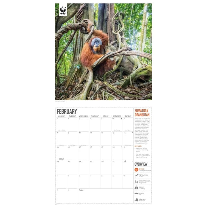 WWF Amazing Wildlife Calendar 2027