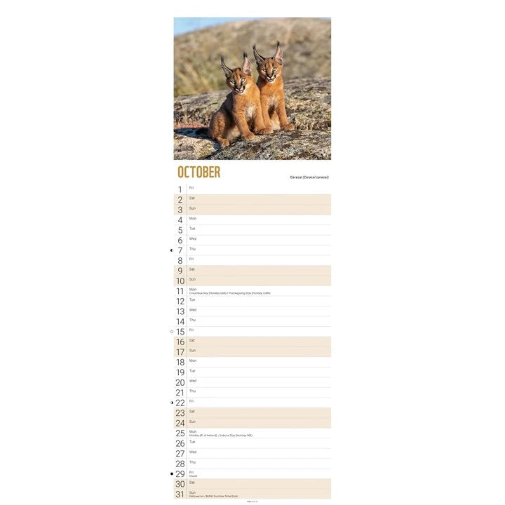 WWF Baby Animals Calendar 2027