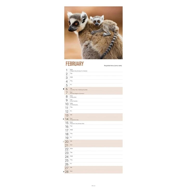 WWF Baby Animals Calendar 2027