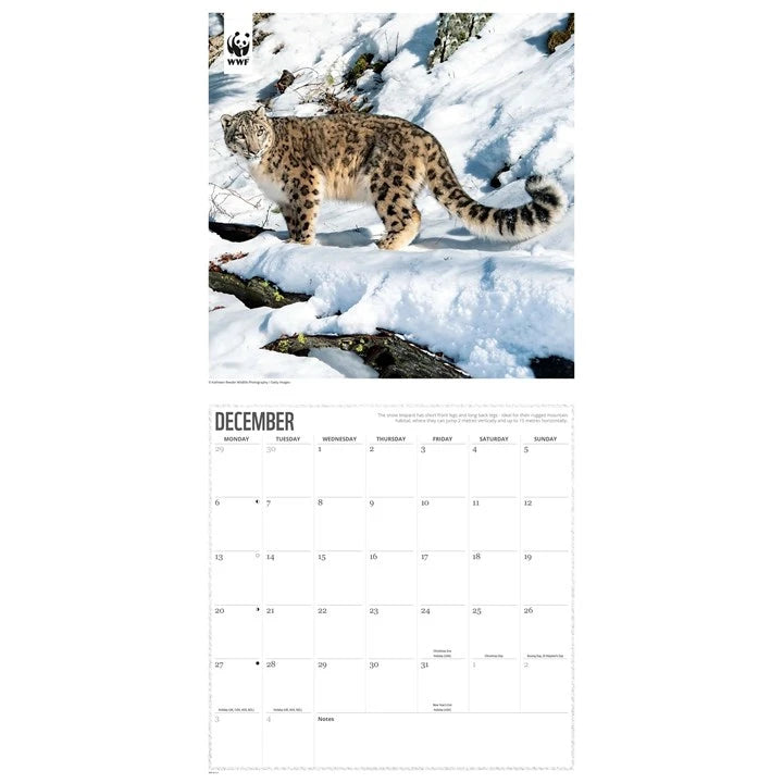 WWF Big Cats Calendar 2027