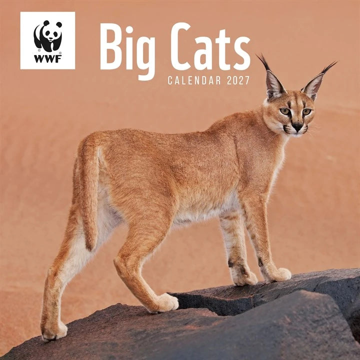 WWF Big Cats Calendar 2027
