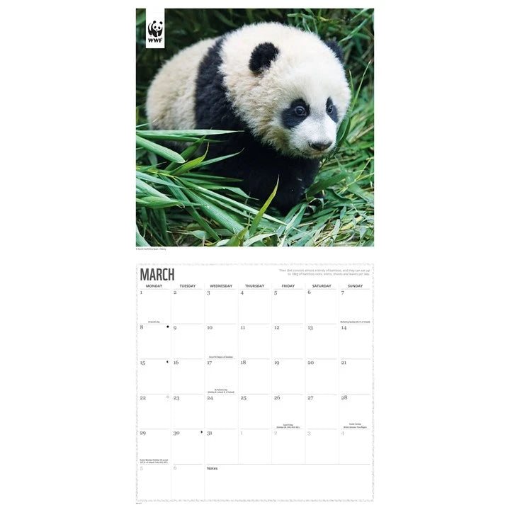 WWF Pandas Calendar 2027