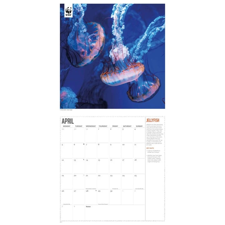 WWF Oceans Calendar 2027
