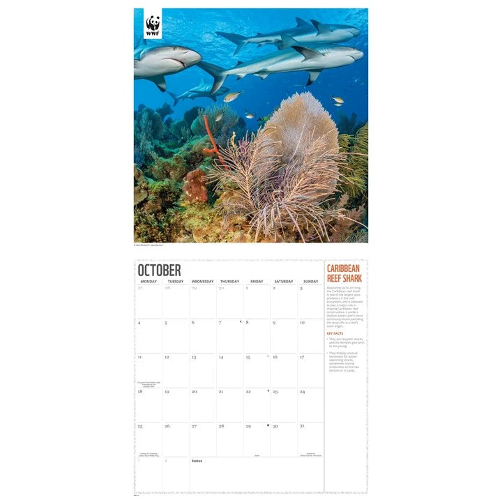 WWF Oceans Calendar 2027