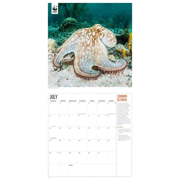 WWF Oceans Calendar 2027