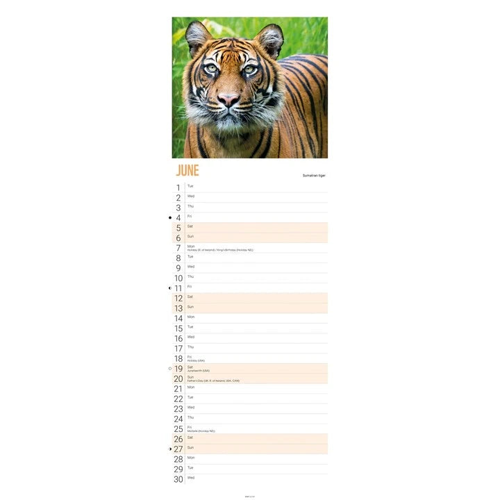 WWF Tigers Calendar 2027