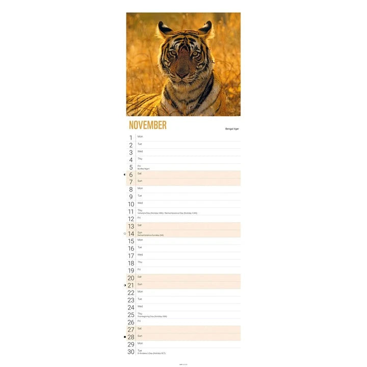 WWF Tigers Calendar 2027