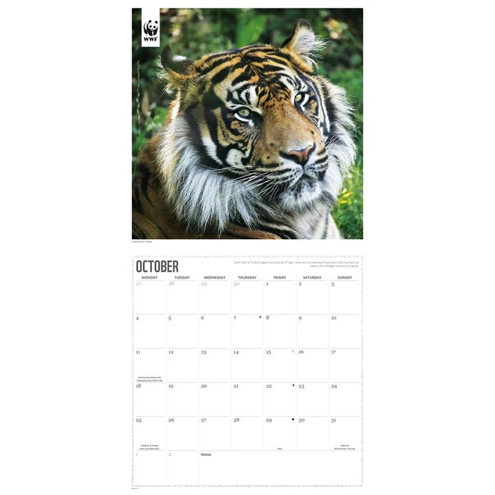 WWF Tigers Calendar 2027