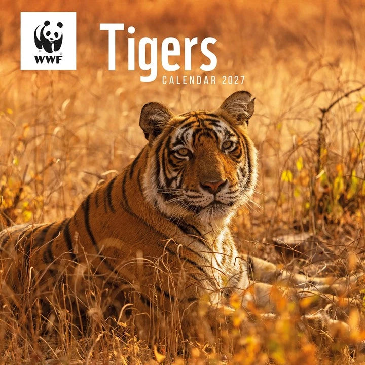 WWF Tigers Calendar 2027