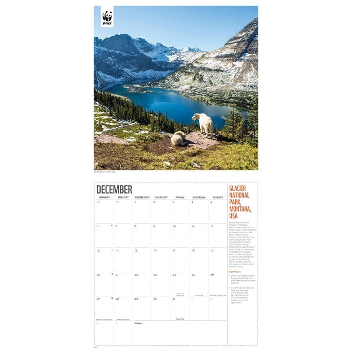 WWF Fragile Earth Calendar 2027