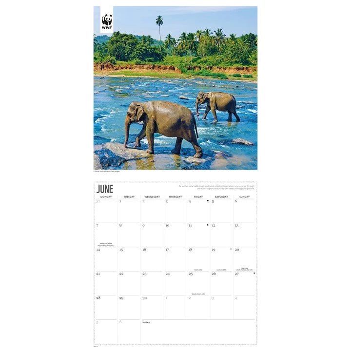 WWF Elephants Calendar 2027