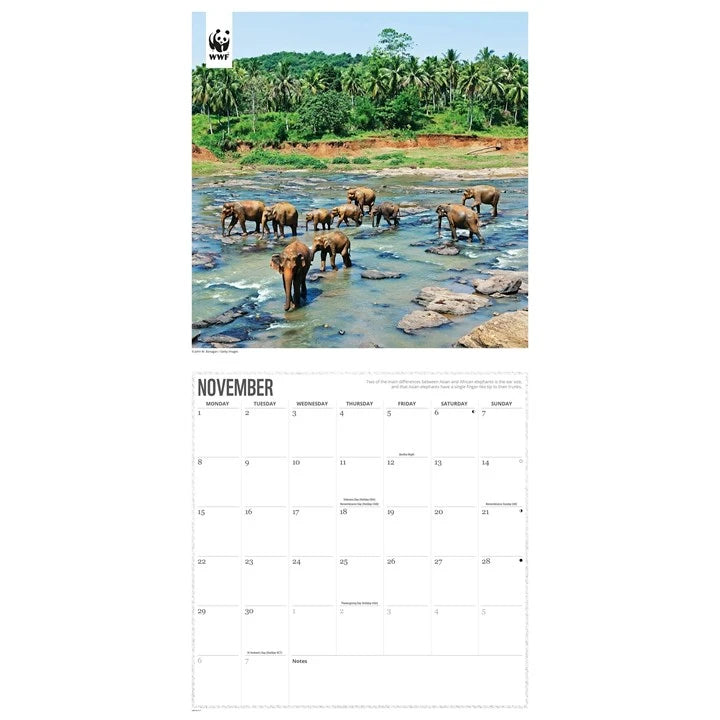 WWF Elephants Calendar 2027