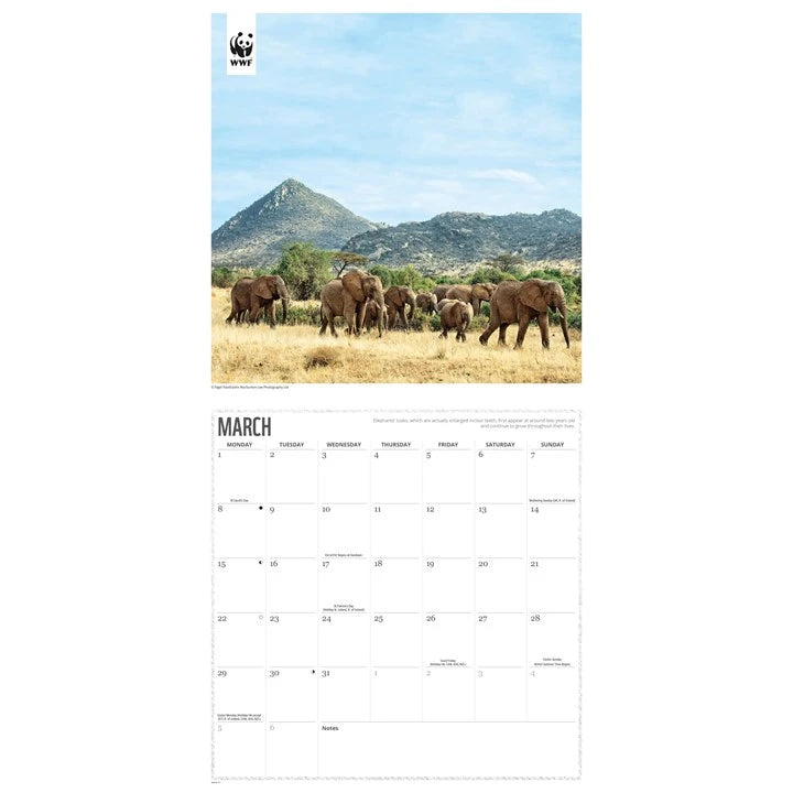 WWF Elephants Calendar 2027