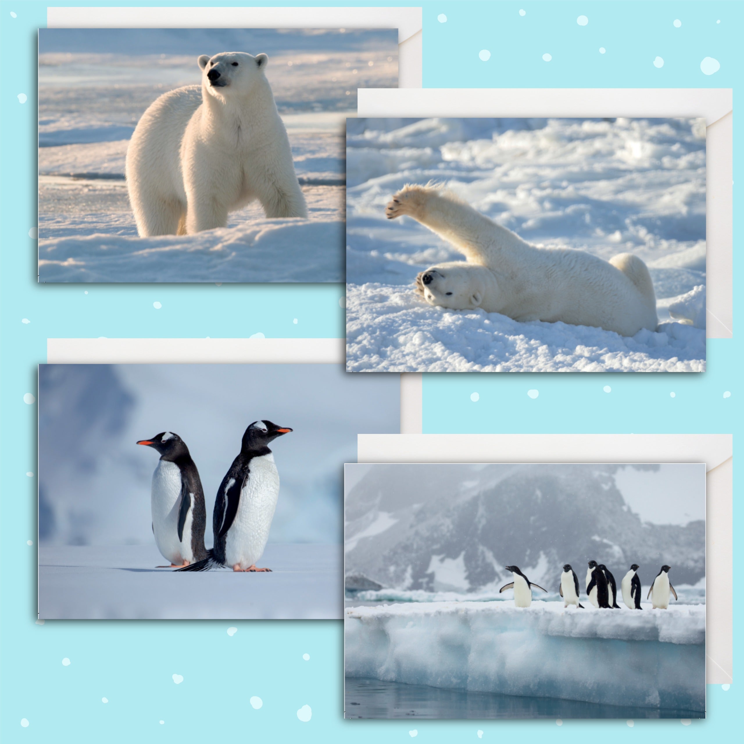 Polar Bear & Penguin Christmas Cards (multipack of 8)