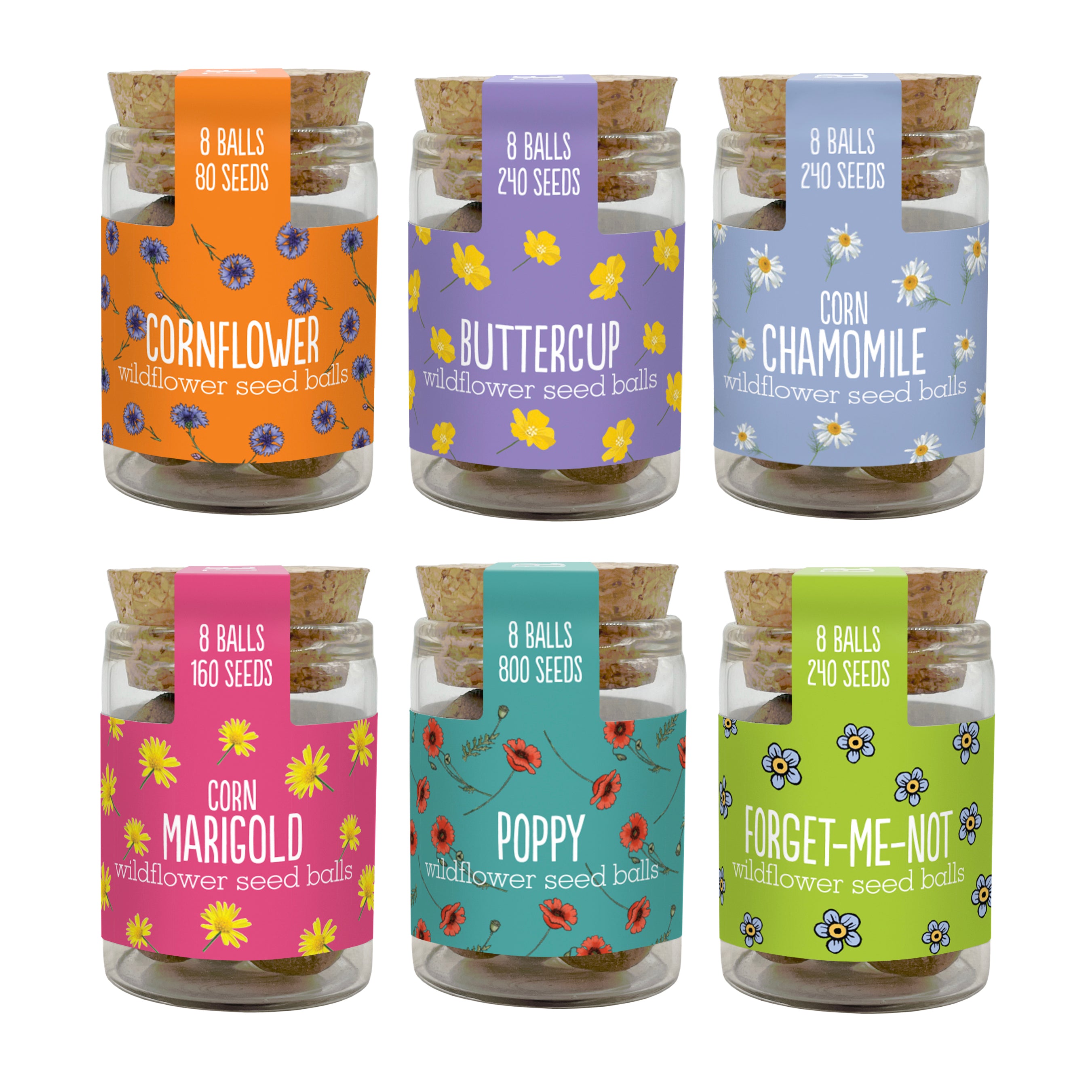 Seedball Wildflower Jar - Cornflower