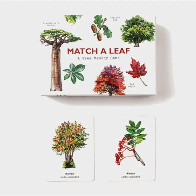 Match a Leaf