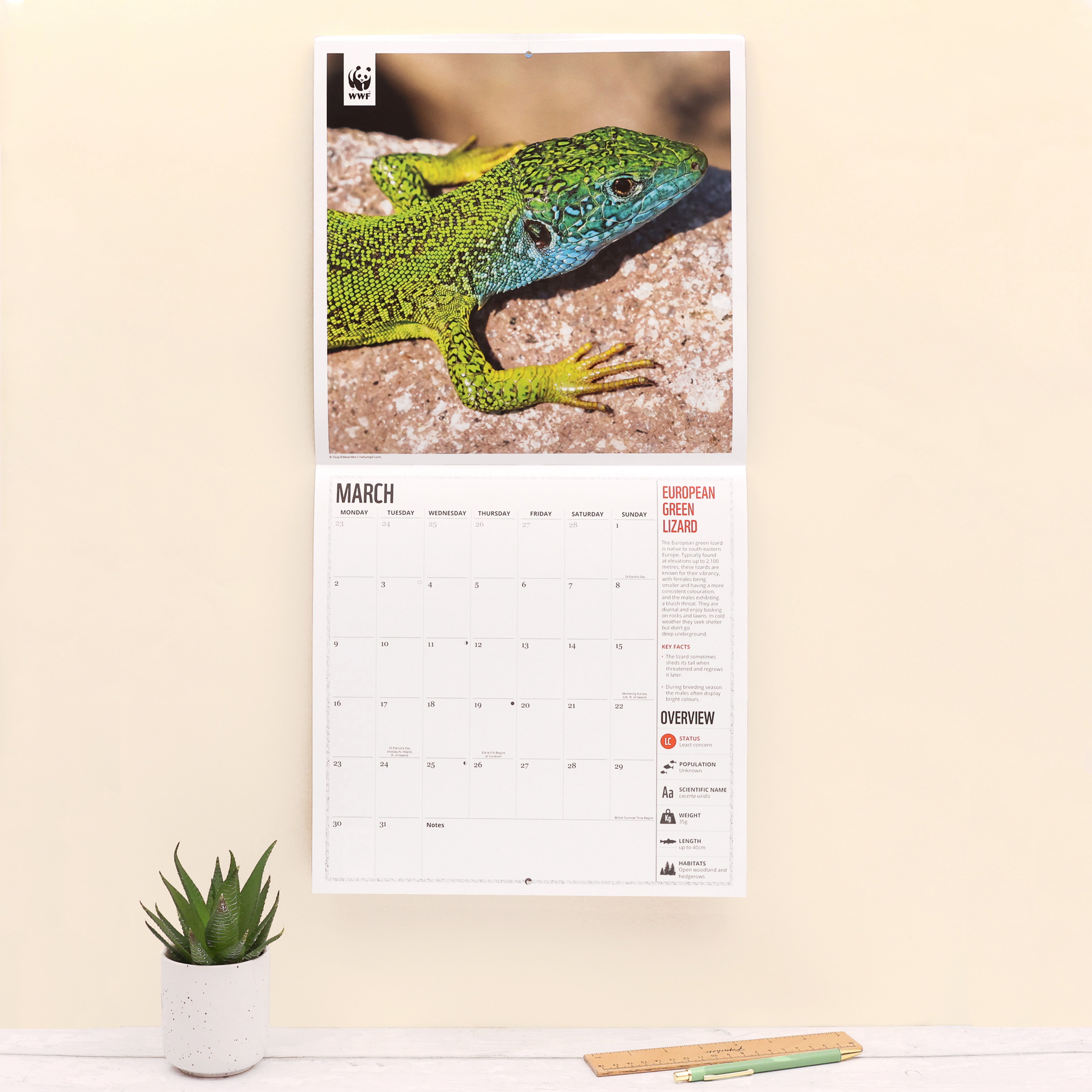 Amazing Wildlife Wall Calendar 2026