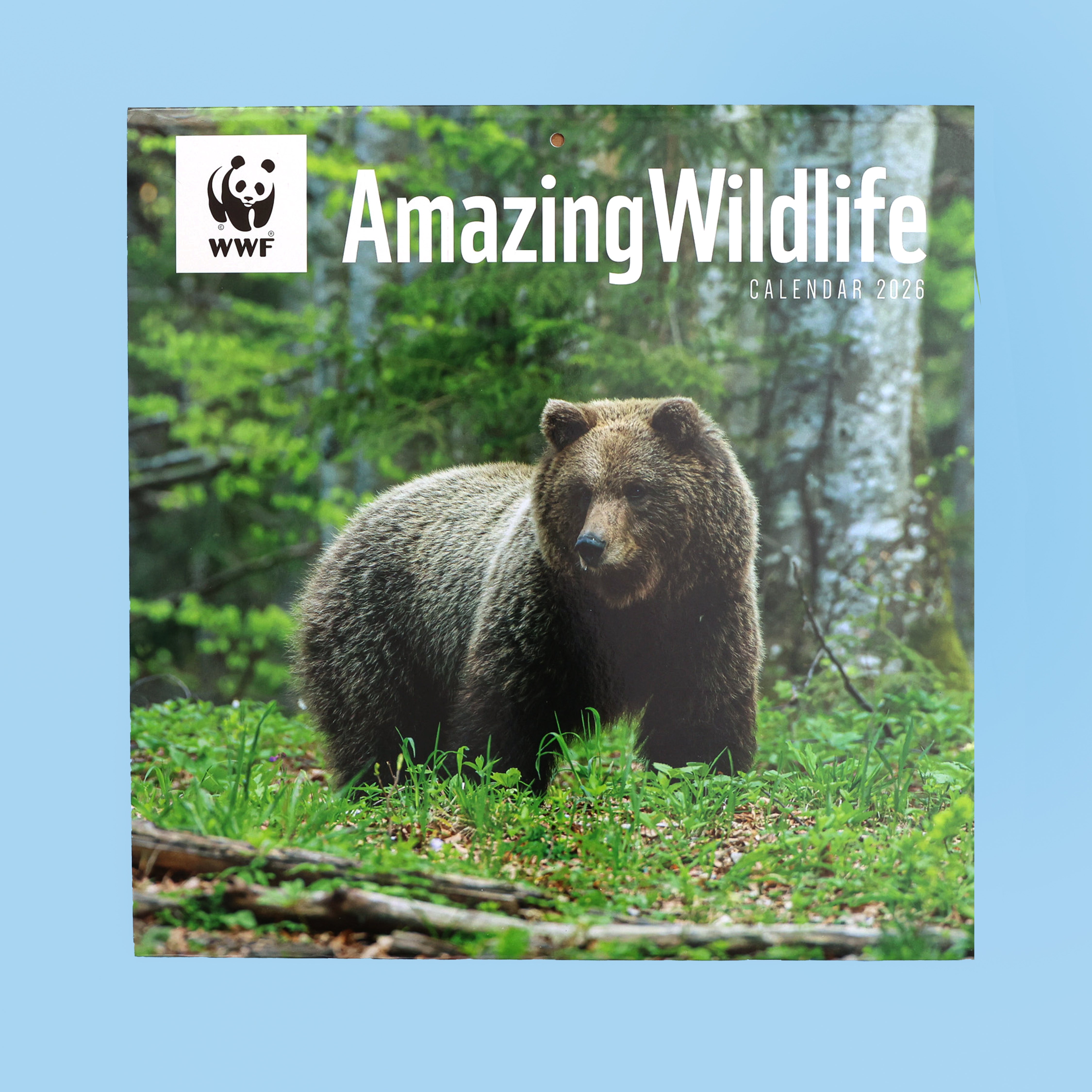 Amazing Wildlife Wall Calendar 2026