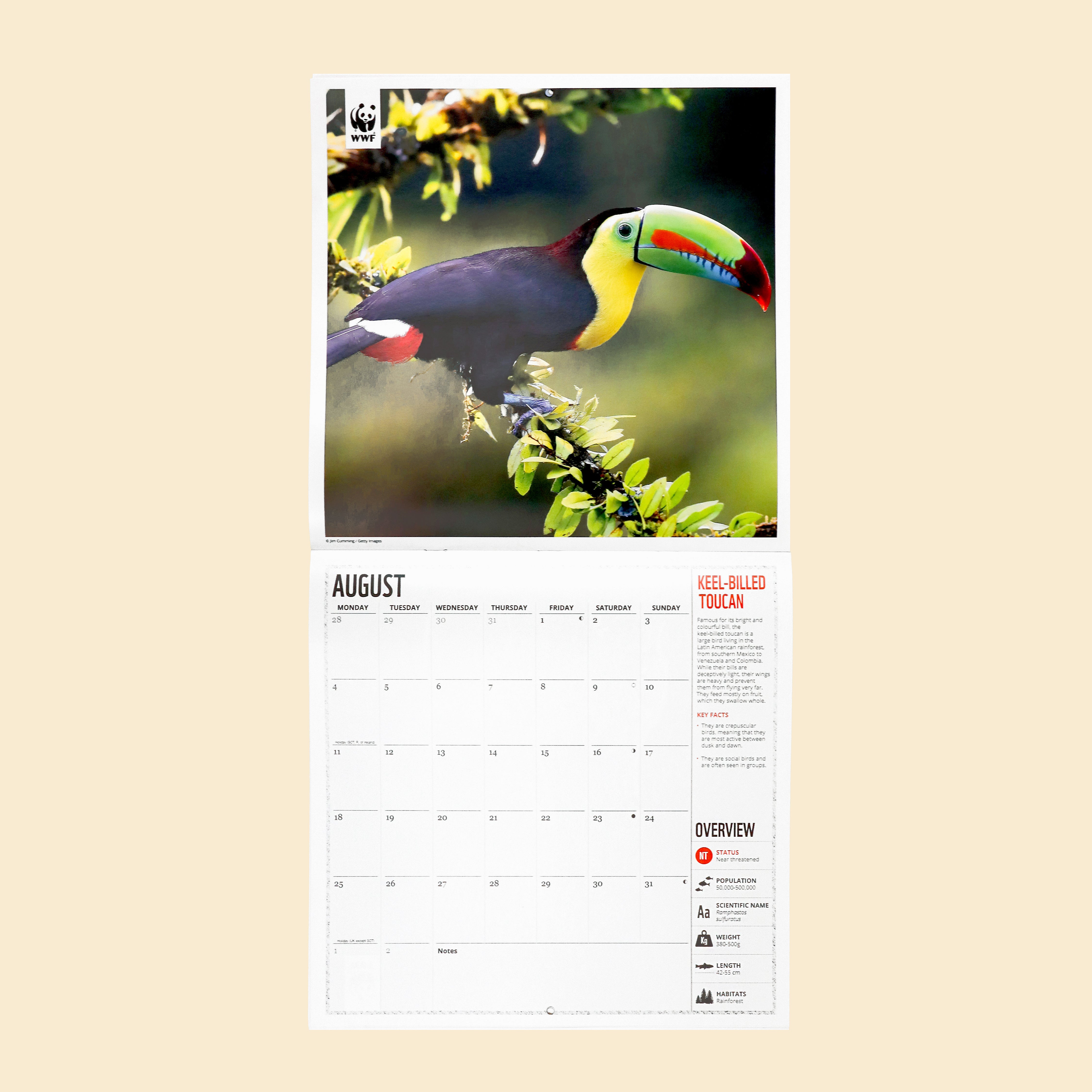 Amazing Wildlife Wall Calendar 2025