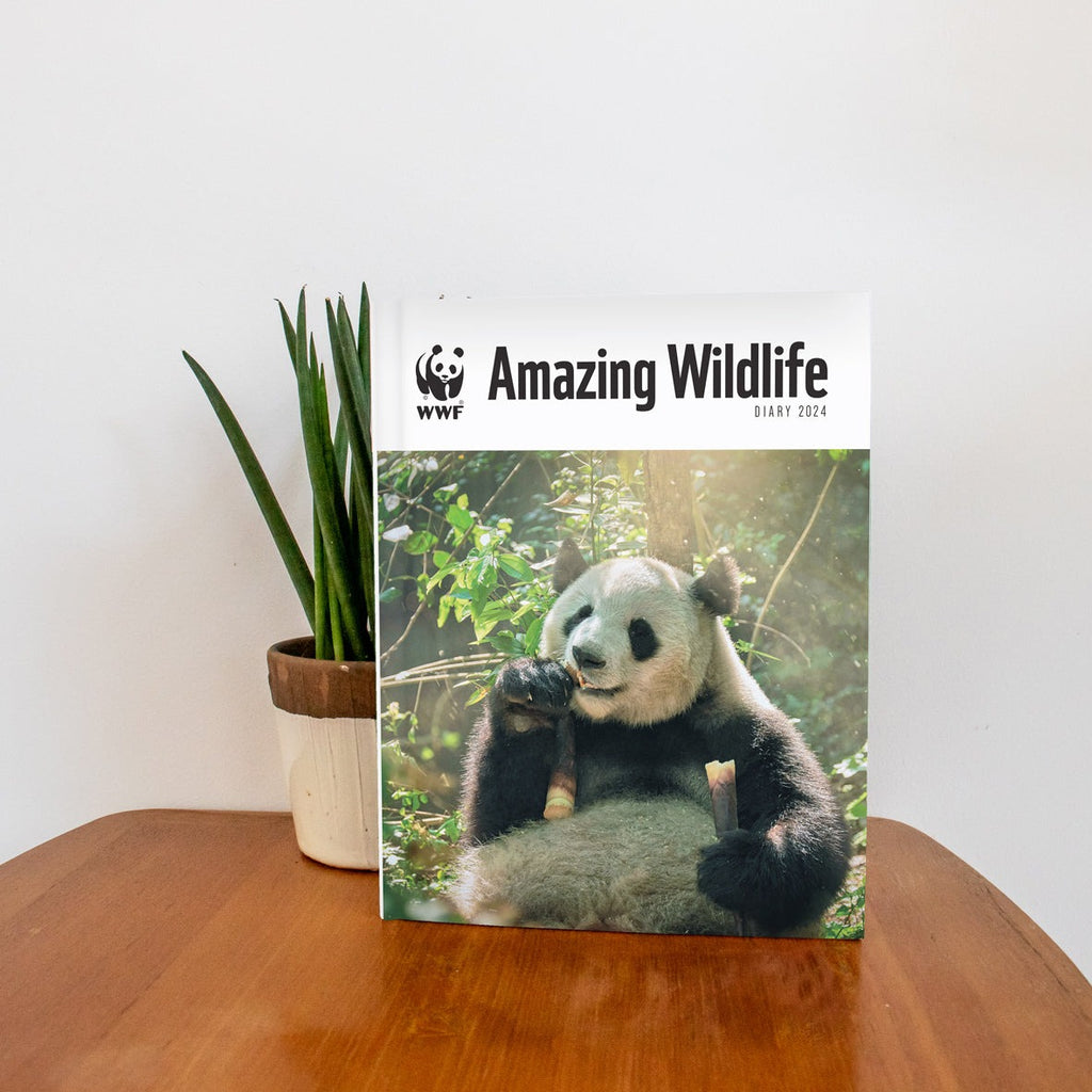 Amazing Wildlife A5 Deluxe Diary 2024