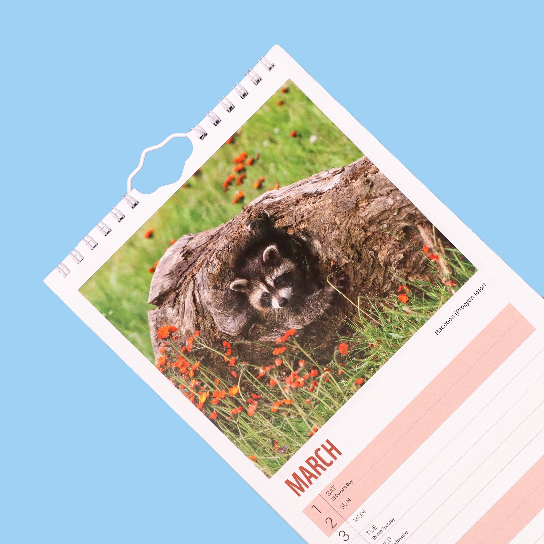 Baby Animals Slim Calendar 2025